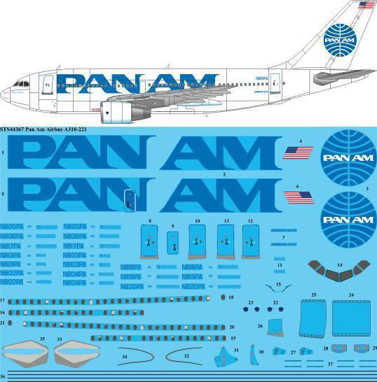 STS44-367-Pan_Am_A310-W